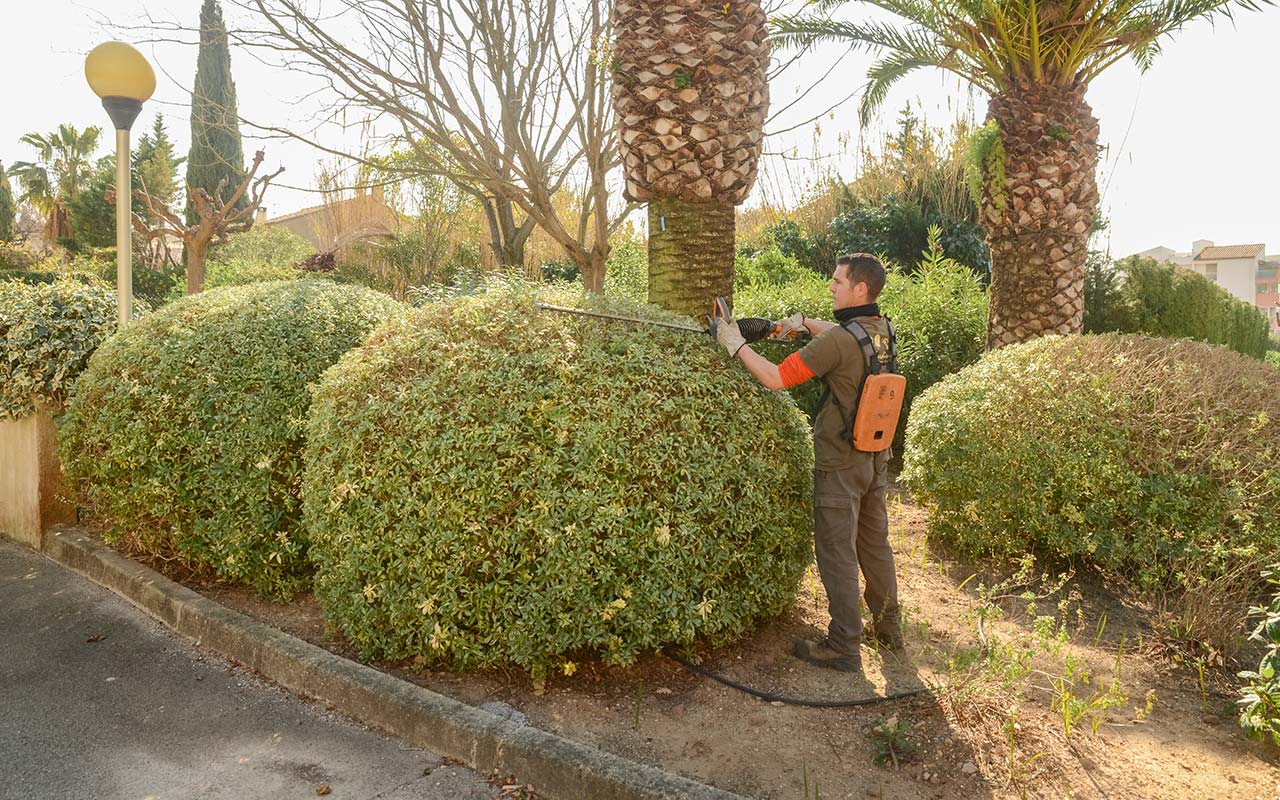 entretien-jardin-aix-en-provence-13