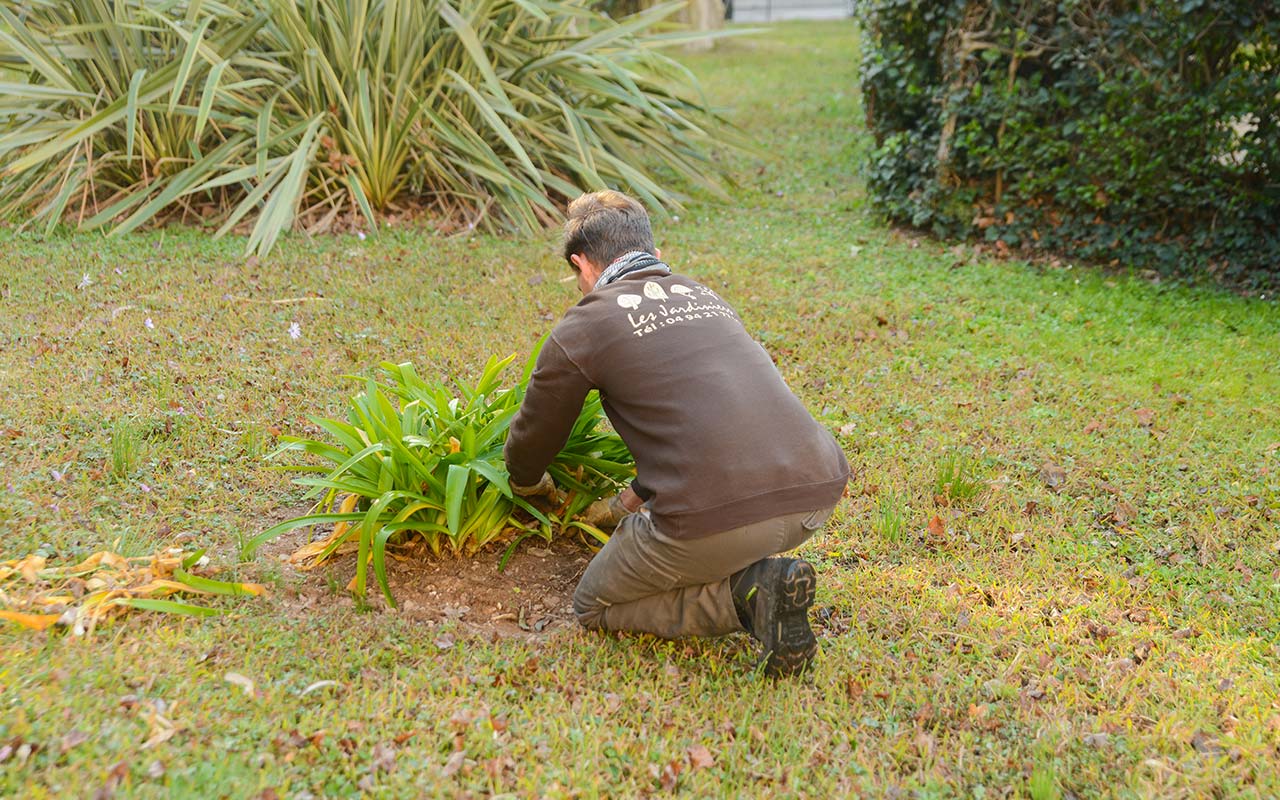 entretien-jardin-jardinier-maison-residence-Hyeres-Var-83