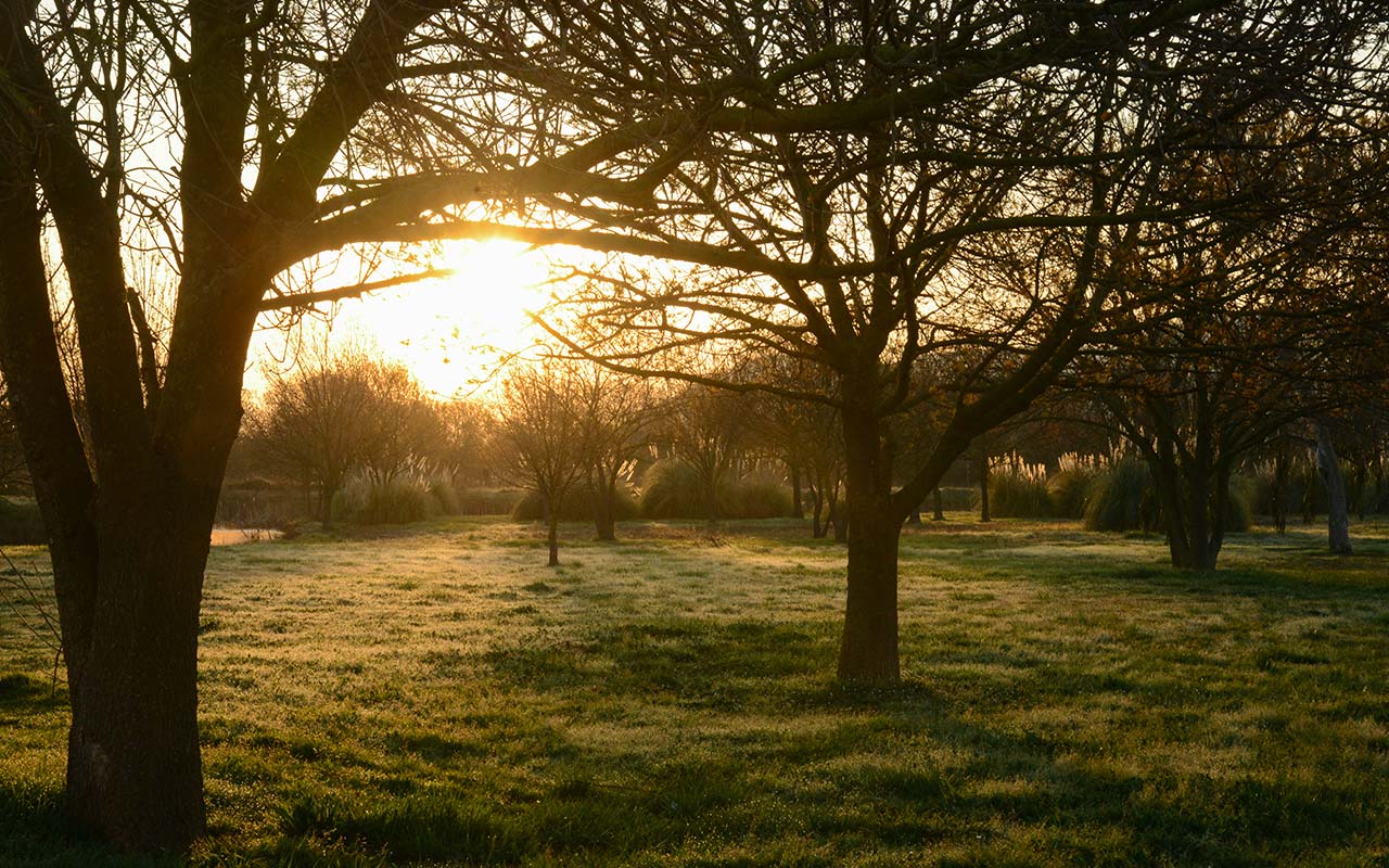 entretien-parc-jardinier-pro-Var-83