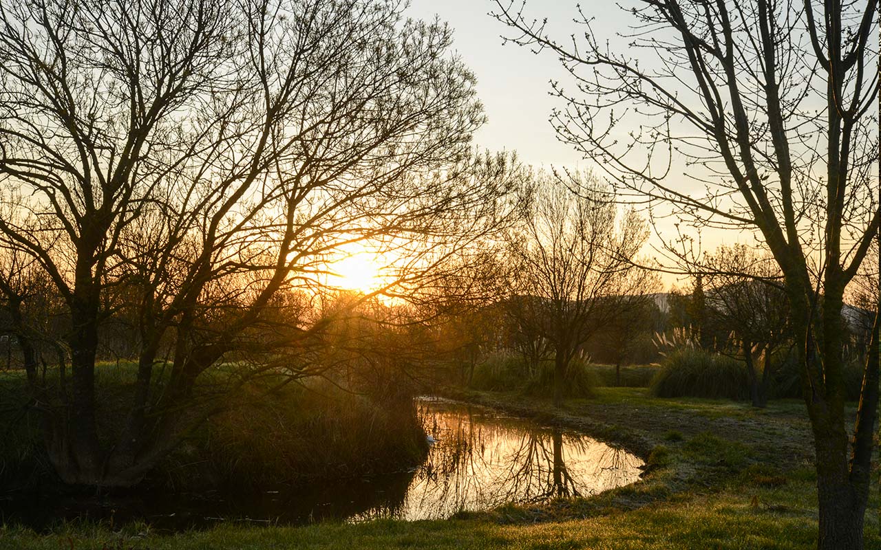 entretien-parc-jardinier-pro