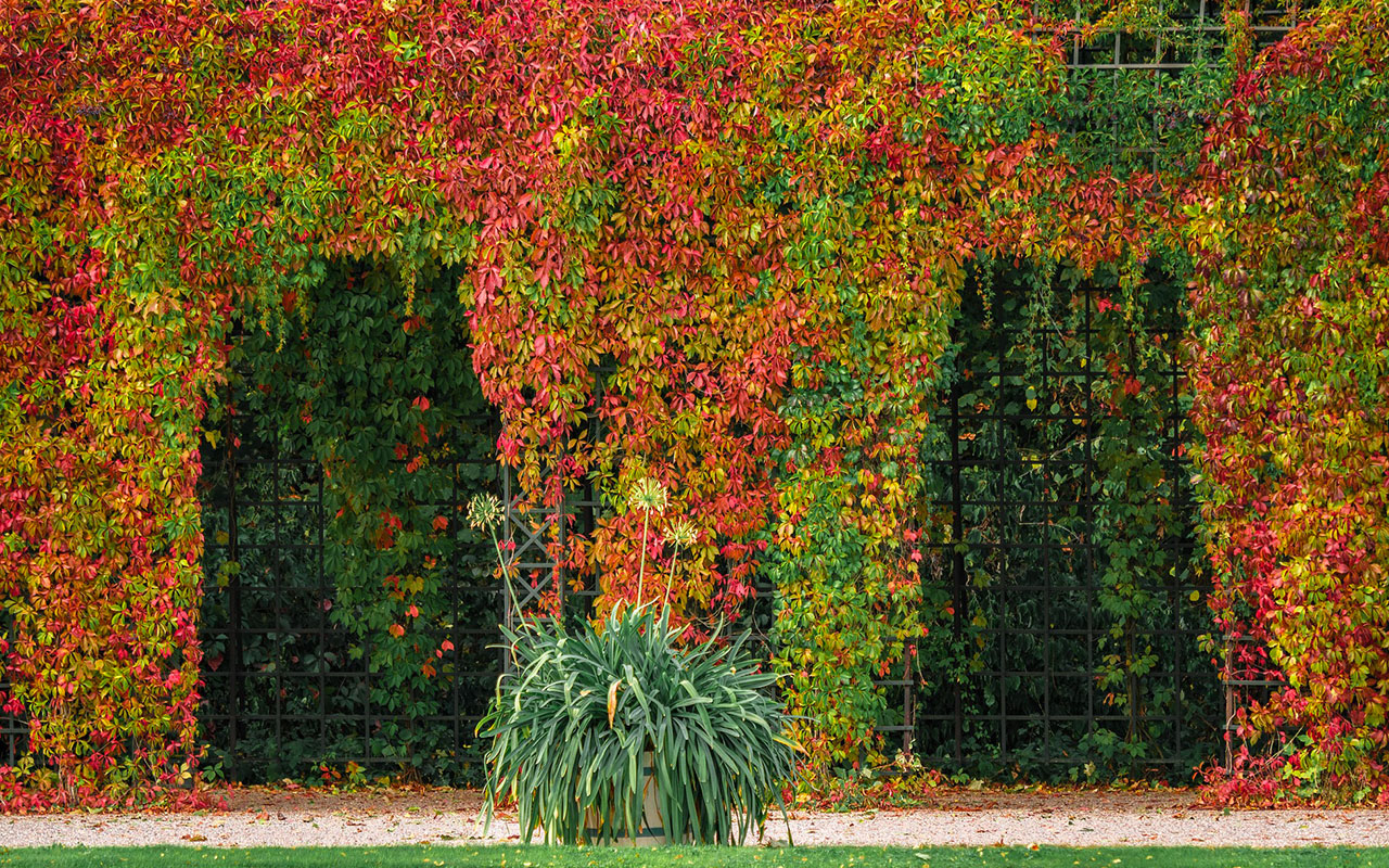 jardinier-paysagiste-hyeres-toulon-83-Var