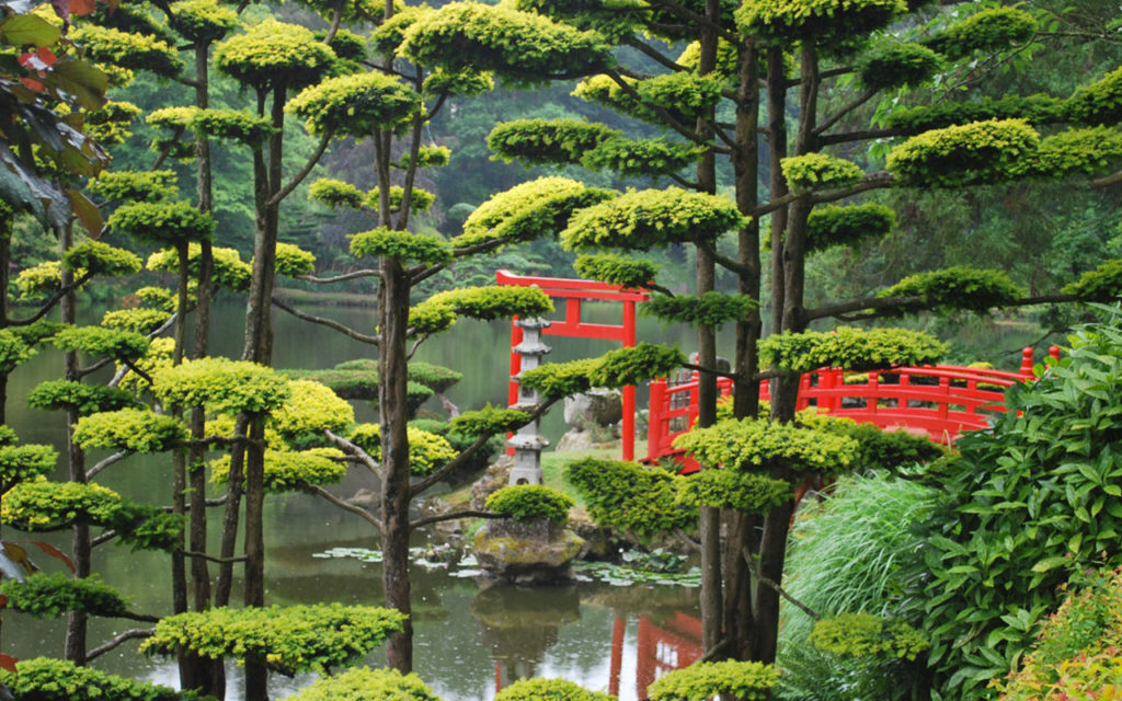 jardinier-paysagiste-taille-nuage-jardin-japonnais