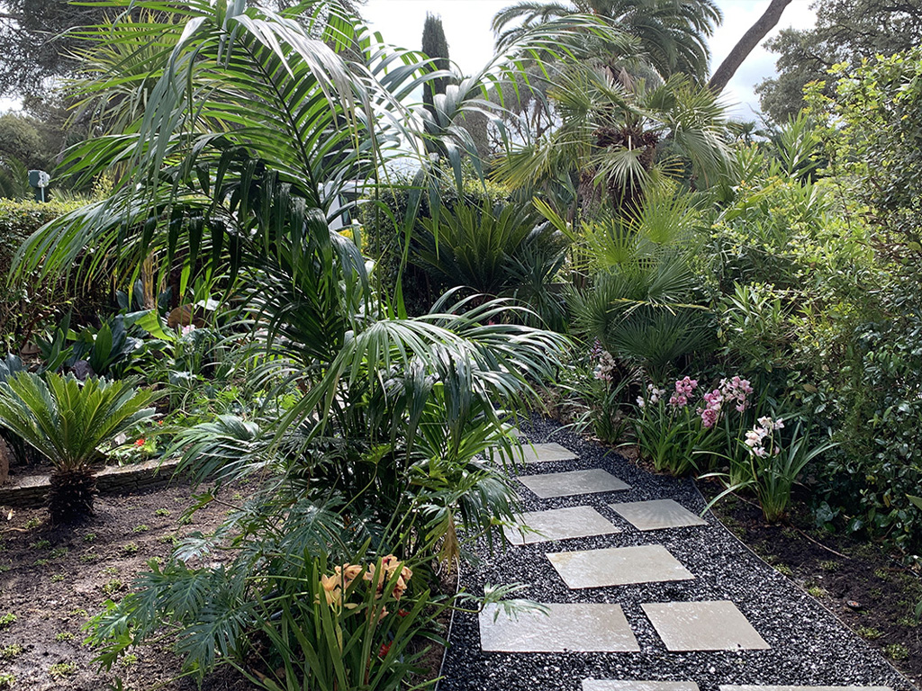 création de jardin tropical à toulon et dans le Var 83