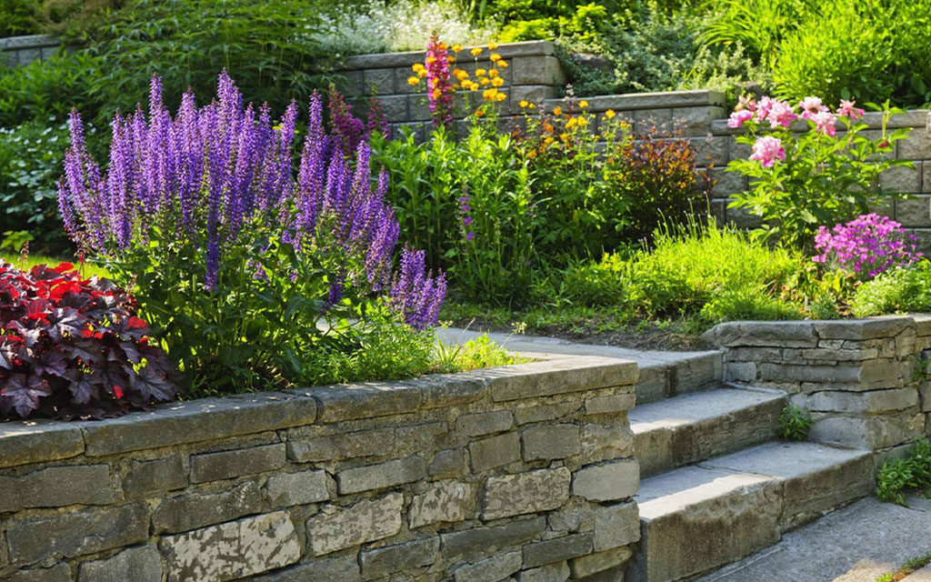 création et entretien de jardin responsable Var 83