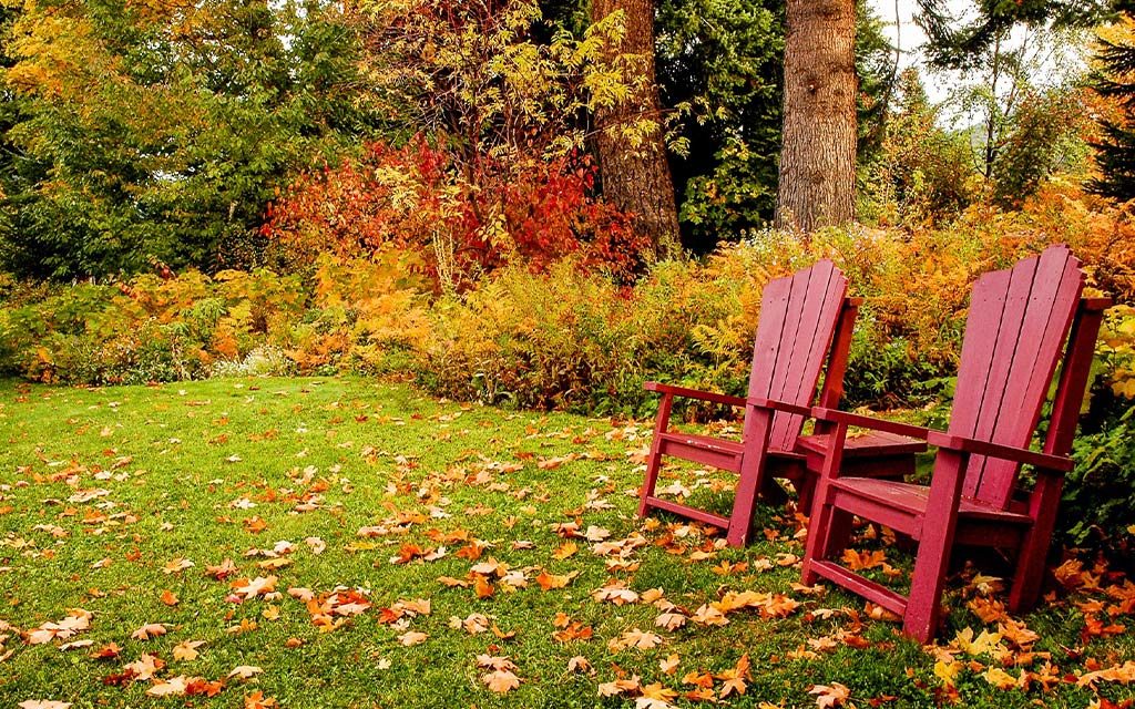 entretenir son jardin en automne