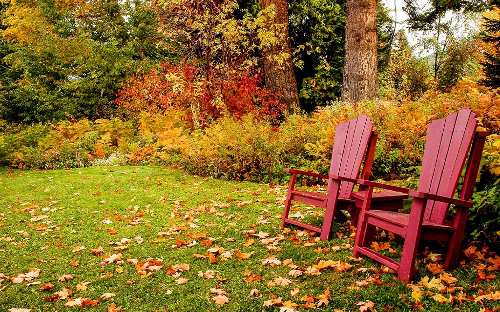 entretenir son jardin en automne