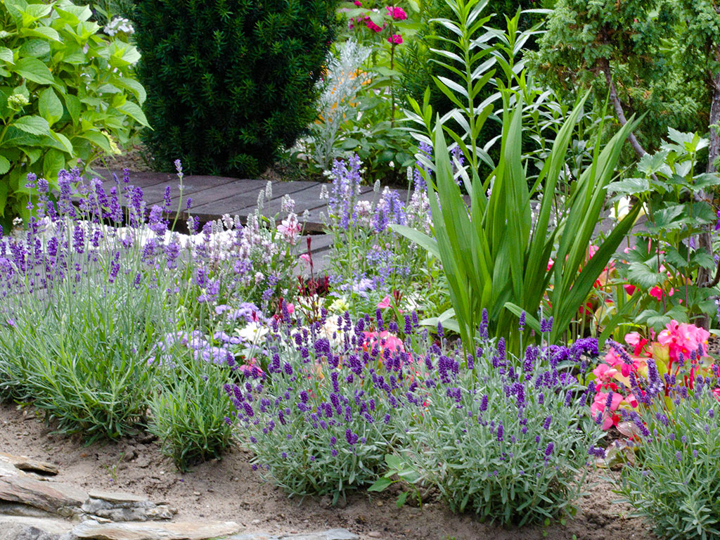 création jardin coloré