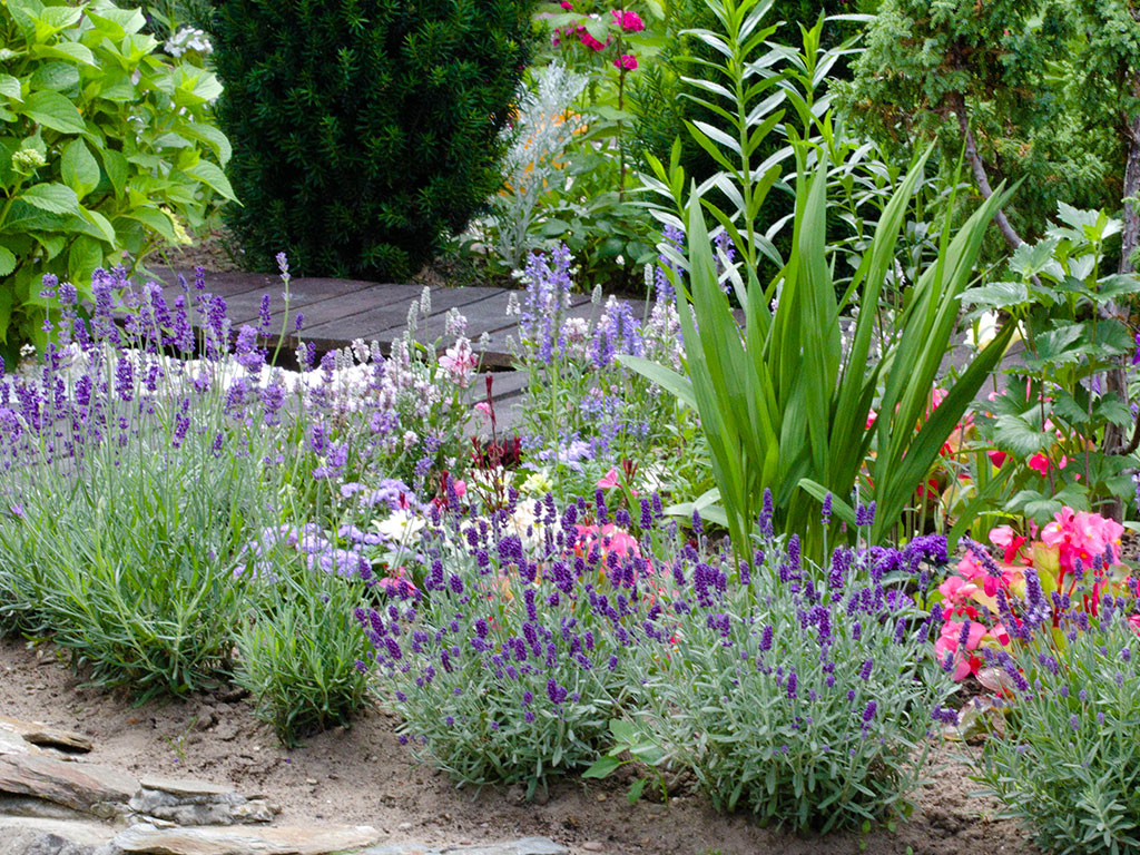 création jardin coloré