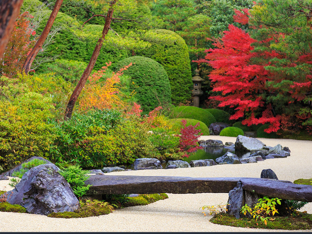 creation jardin japonais var