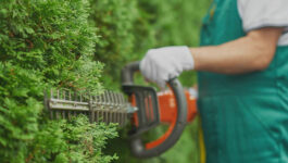 Offre emploi : Jardinier / Jardinière Paysagiste (H/F) Toulon – La Garde