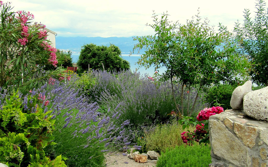 création jardin réchauffement climatique