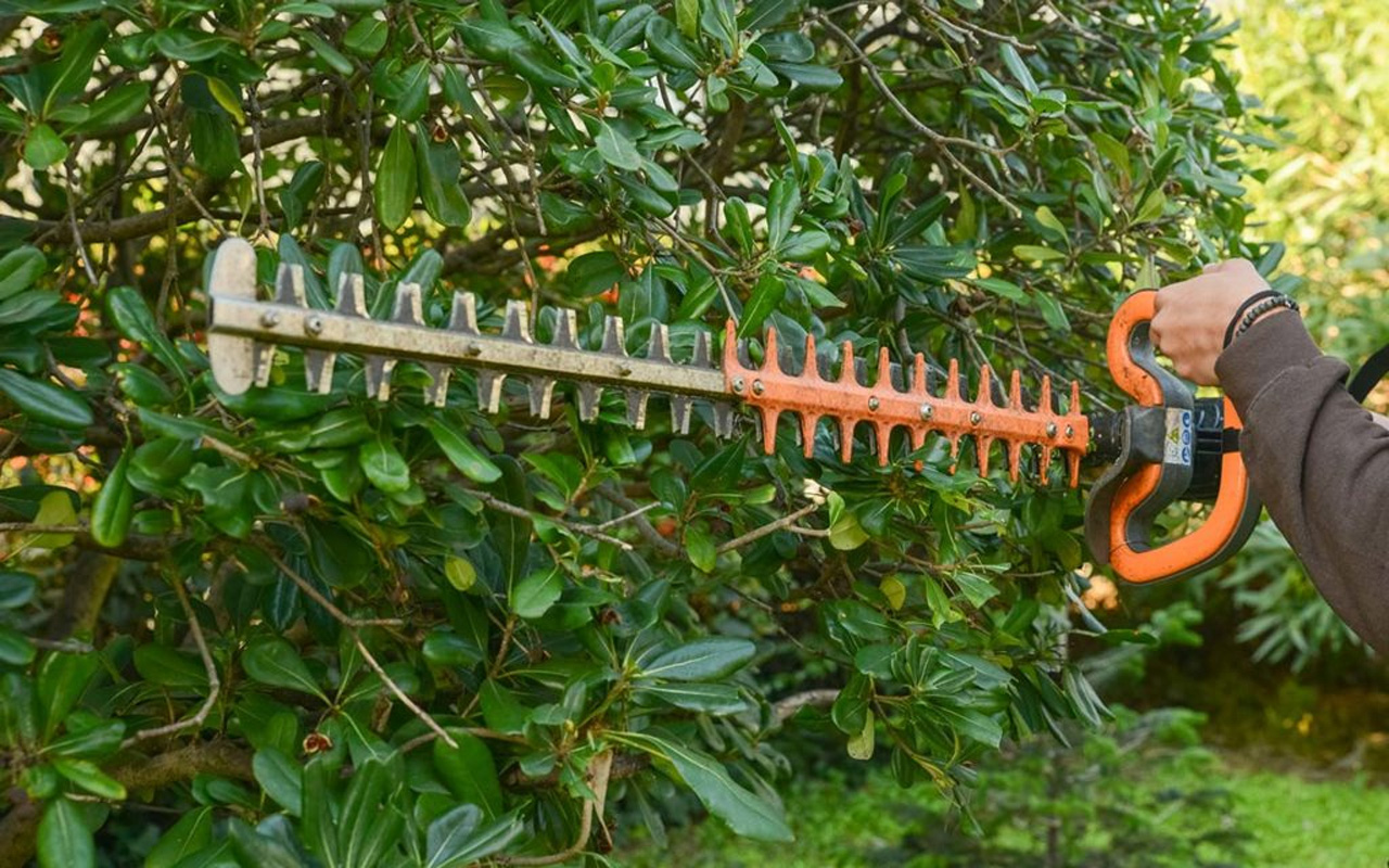 entretien de jardin var 83