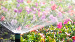 Arrosage automatique dans le Var 83 : un atout pour l’entretien du jardin