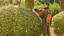 Jardinier à domicile à Toulon : profitez du crédit d’impôt de 50 % pour l’entretien de votre jardin