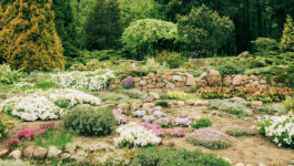 Rénover son jardin dans le Var : quand l’entretien ne suffit plus