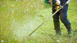 Débroussaillement dans le Var : une obligation pour protéger votre jardin et votre habitation