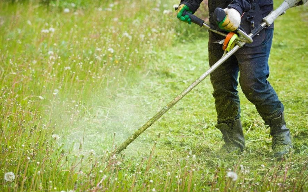 débroussaillement var