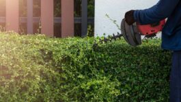 Taille des haies : réglementation et bonnes pratiques dans le Var